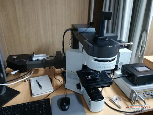 紅外與拉曼光譜技術(shù) 原理、應用與技術(shù)交流綜述